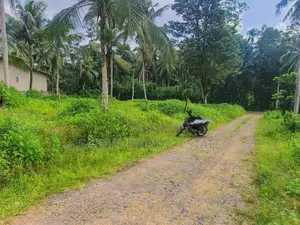 කඩවත – ඉඹුල්ගොඩින් ඔබේ සිහින නිවසට සුපිරි ඉඩමක්! / UP 14257