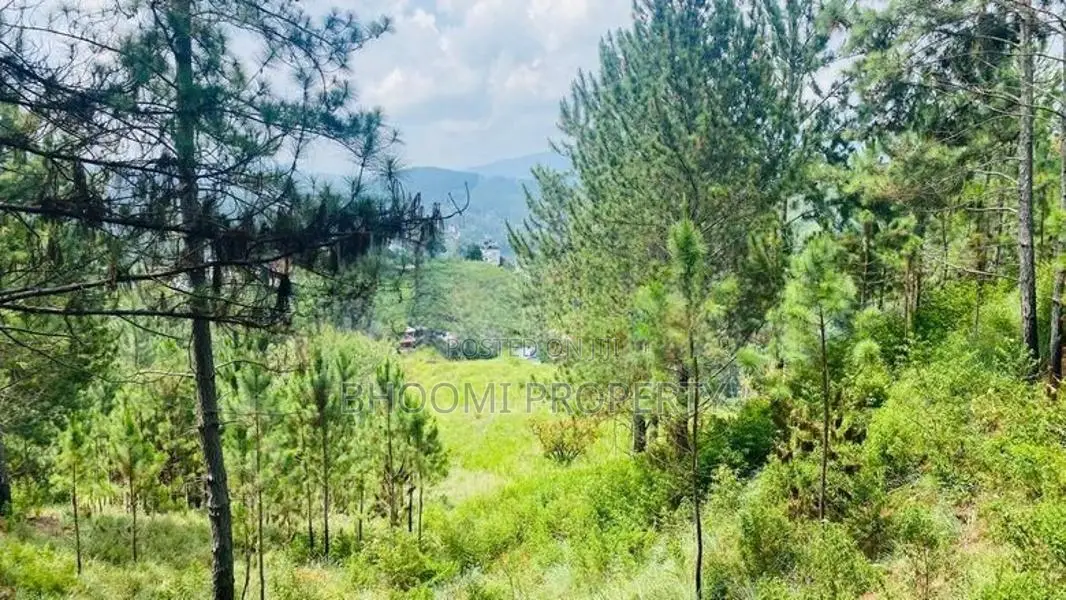 Beautiful land plots sale in Ella