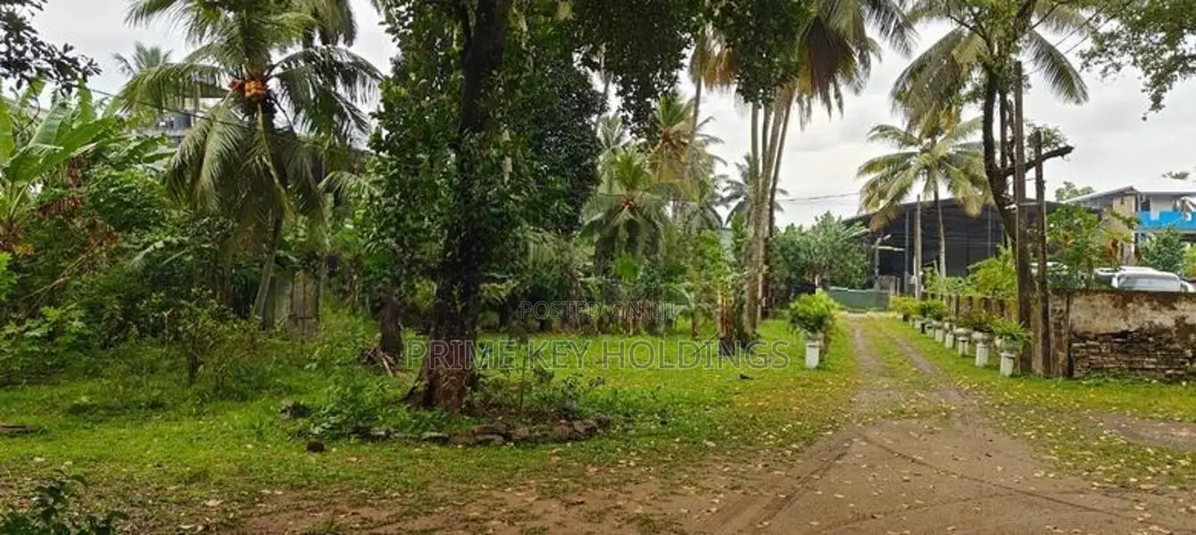Land for Sale in Biyagama Road, Kelaniya