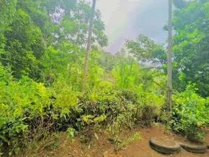 නුවර, ගෙලිඔය නගරයෙන් ගම්පල පාරට මුහුනලා නිවසක් / RU 15008