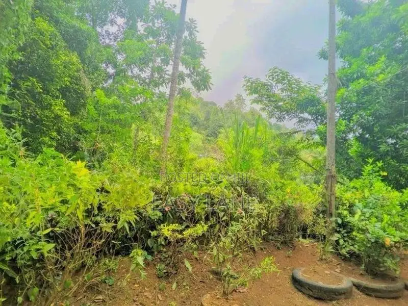 නුවර, ගෙලිඔය නගරයෙන් ගම්පල පාරට මුහුනලා නිවසක් / RU 15008