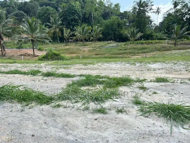 ගාල්ල උඩුගම බස් පාරට ලගින්ම බිම් කොටස්