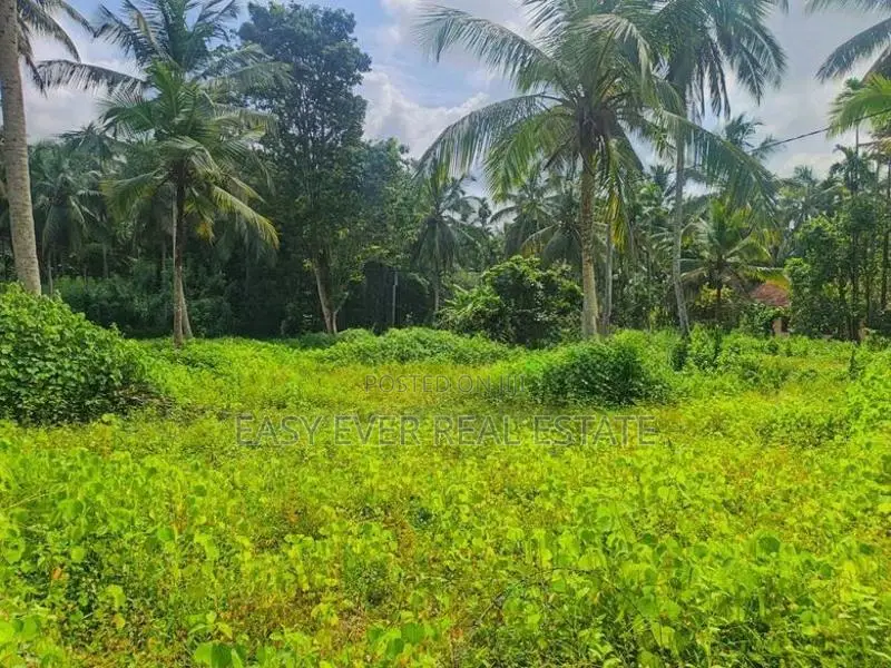 කඩවත – ඉඹුල්ගොඩින් ඔබේ සිහින නිවසට සුපිරි ඉඩමක්! / UP 14257