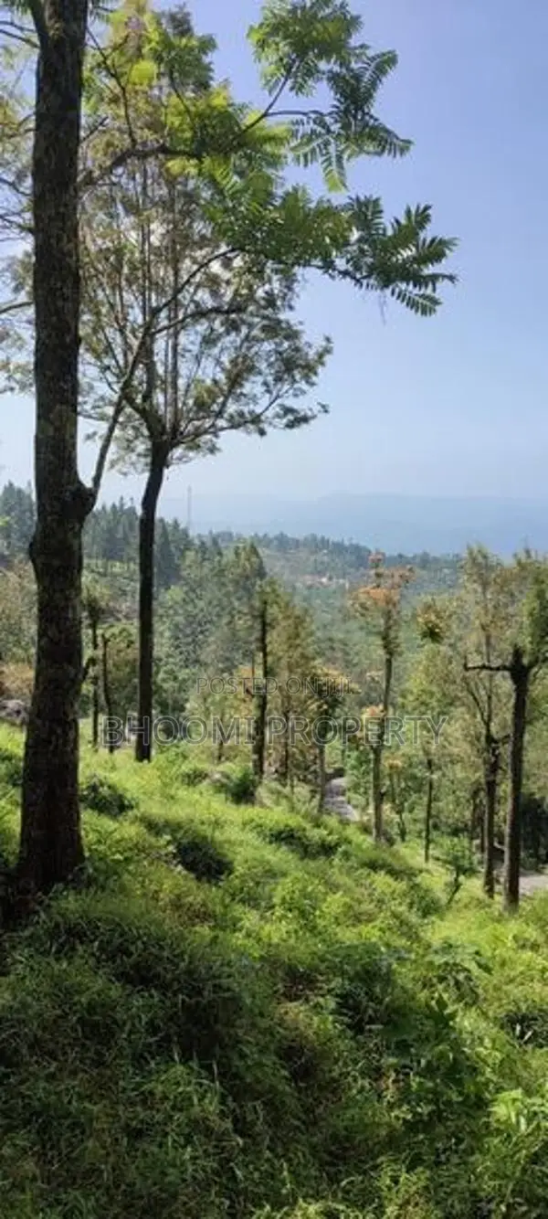 Naturel Land Plots For Sale In Idalgashinna