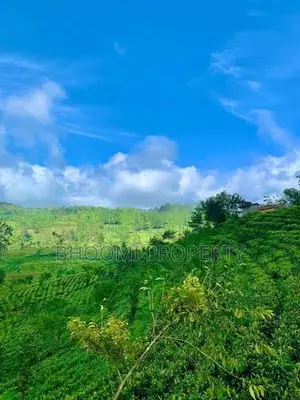 Land for sale in Hatton