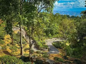 Land for sale in Haputale