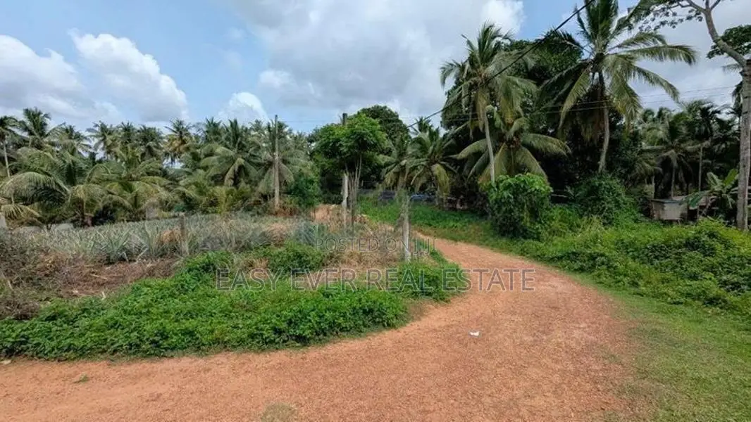 කඩවත – වෑබඩින් වටිනා නේවාසික ඉඩමක් / HS 14234