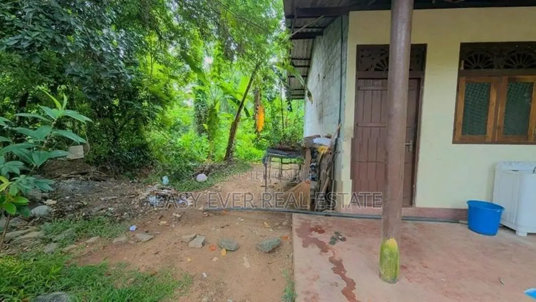 නිට්ටඹුව – වතුපිටිවලින් වටිනා නිවසක් / HS 14781
