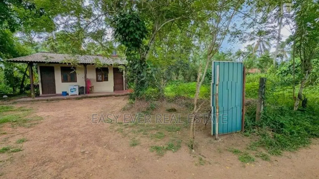 නිට්ටඹුව – වතුපිටිවලින් වටිනා නිවසක් / HS 14781