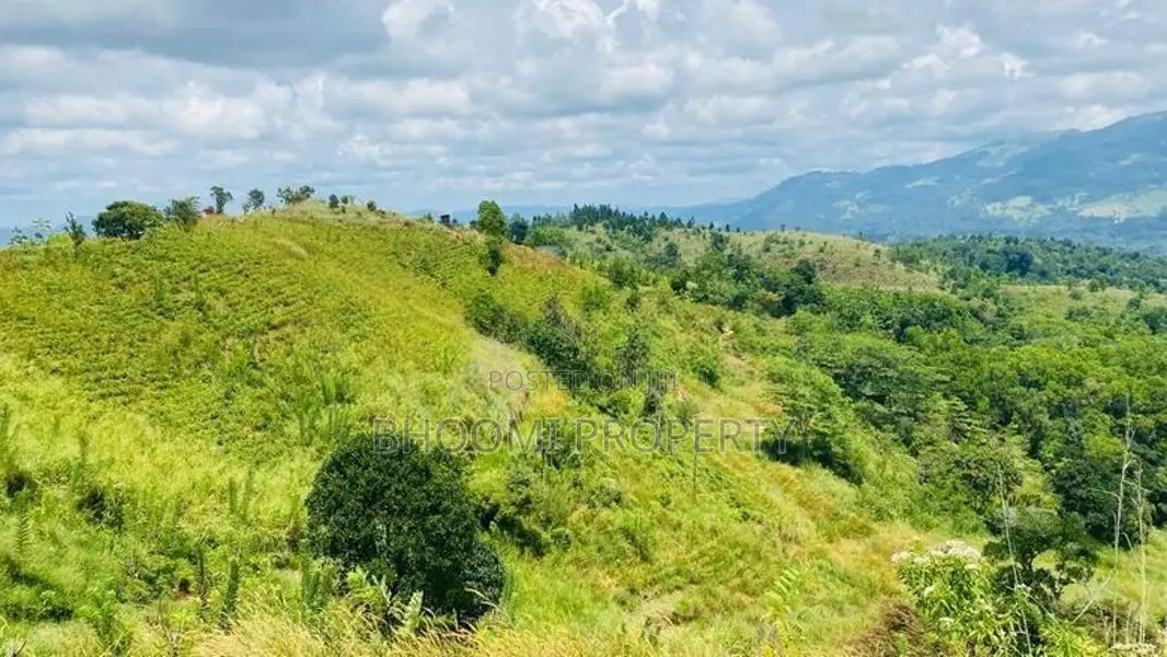 දොලුව හන්තාන කදු පෙනෙන මානයේ අගනා ඉඩම් කිහිපයක්