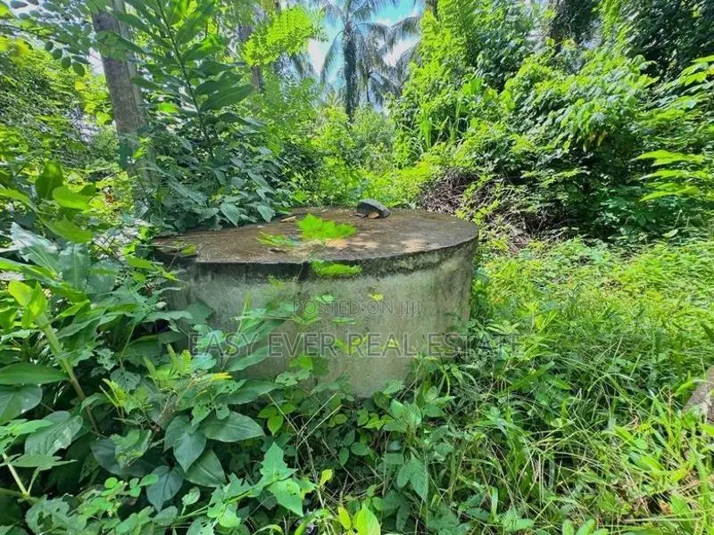 නිට්ටඹුව – වතුපිටිවලින් වටිනා නිවසක් / HS 14781