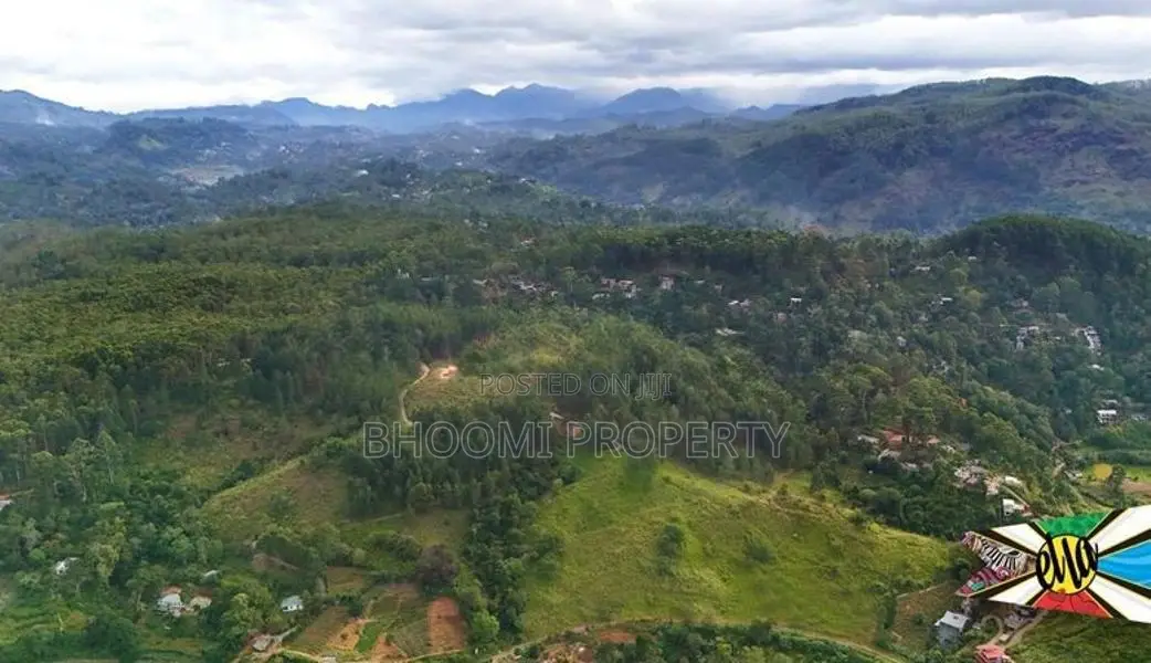 Beautiful land plots sale in Ella
