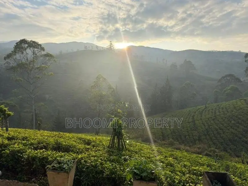 Beautiful Houses For Sale In Rozella