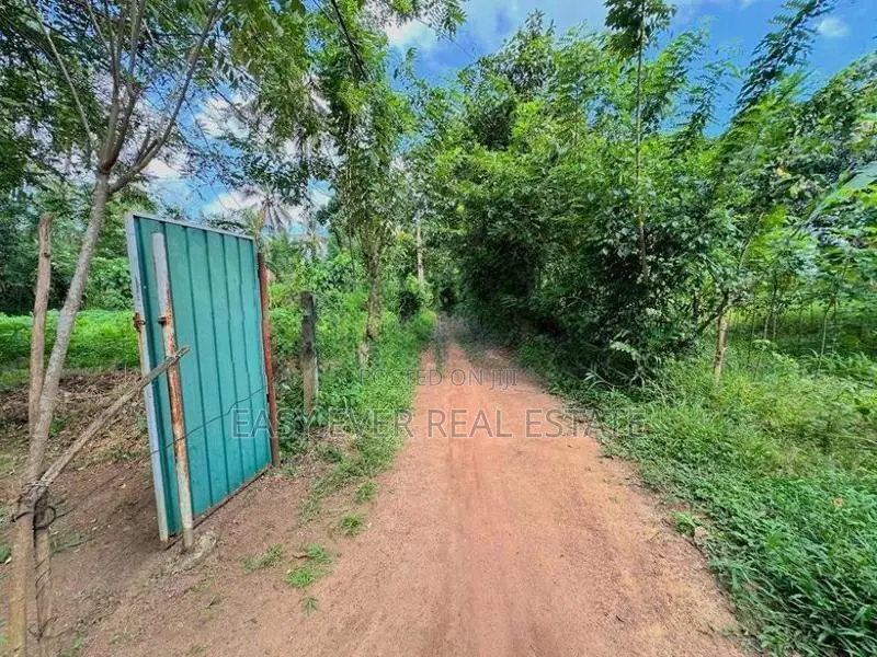 නිට්ටඹුව – වතුපිටිවලින් වටිනා නිවසක් / HS 14781