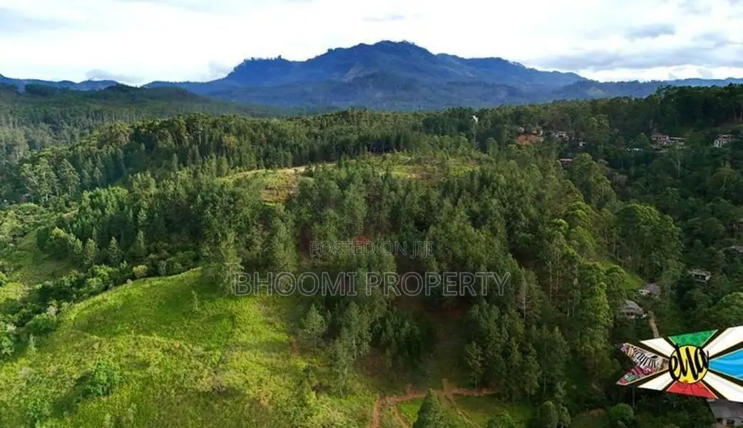 Beautiful land plots sale in Ella