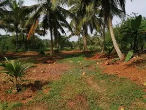 324 Perch Land for Sale in Godigamuwa