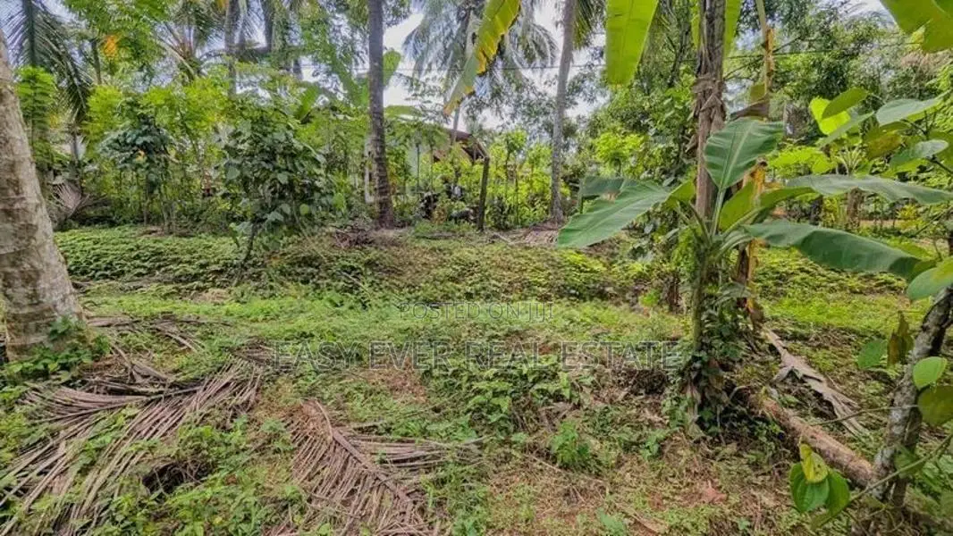 කිරිඳිවැලින් පර්චස් 77ක සාරවත් පොල් ඉඩමක් විකිණීමට / ER 14957