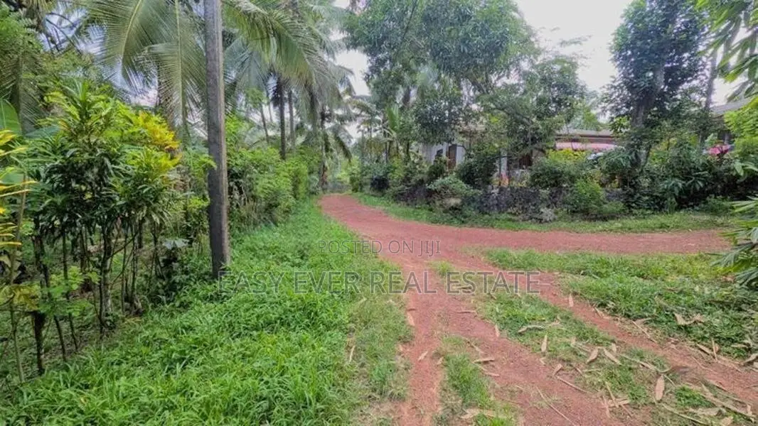 කිරිඳිවැලින් පර්චස් 77ක සාරවත් පොල් ඉඩමක් විකිණීමට / ER 14957