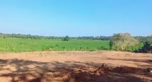 Land For Sale Tangalle