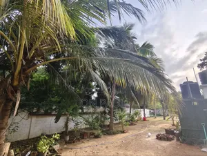 3bdrm House in Punchiwilluwa, Puttalam City for sale