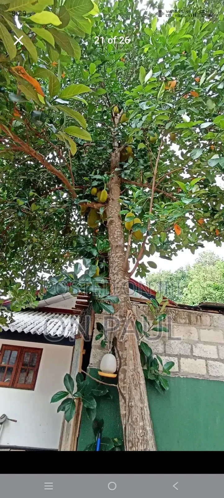 3bdrm House in Punchiwilluwa, Puttalam City for sale