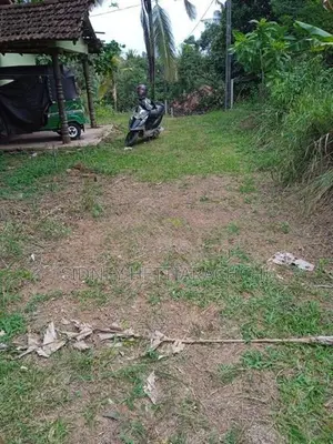 Valuable Land in Bulugahagoda, Ganemulla