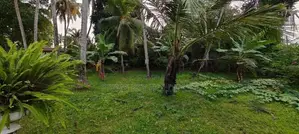 Land for Sale in Kelaniya - (#ls2006)