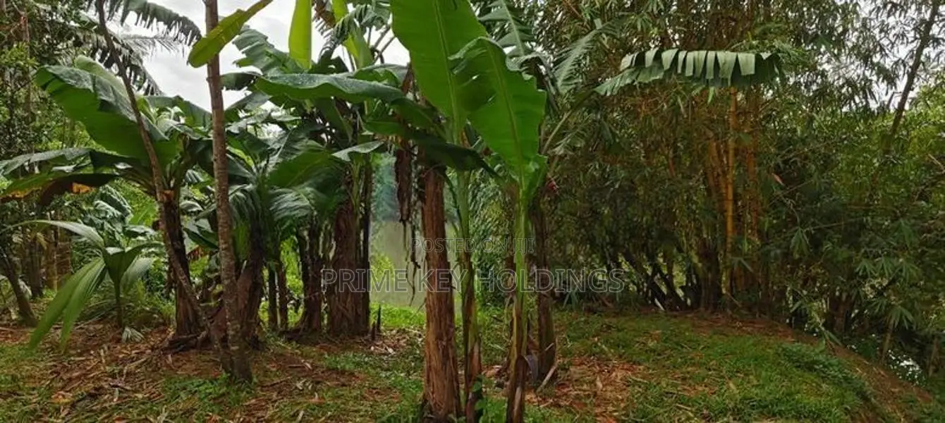 Land for Sale in Kelaniya - (#ls2006)