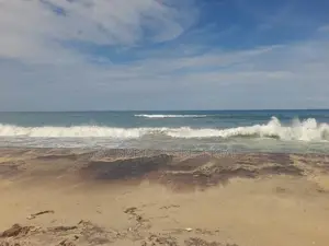 ARUGAM BAY : 46 ACRES BEACH FRONT LAND FOR SALE
