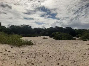 ARUGAM BAY : 46 ACRES BEACH FRONT LAND FOR SALE
