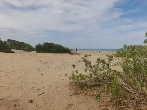 ARUGAM BAY : 46 ACRES BEACH FRONT LAND FOR SALE
