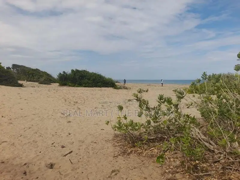 ARUGAM BAY : 46 ACRES BEACH FRONT LAND FOR SALE