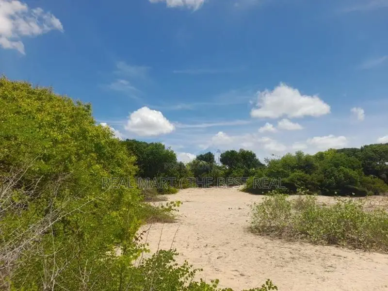 ARUGAM BAY : 46 ACRES BEACH FRONT LAND FOR SALE