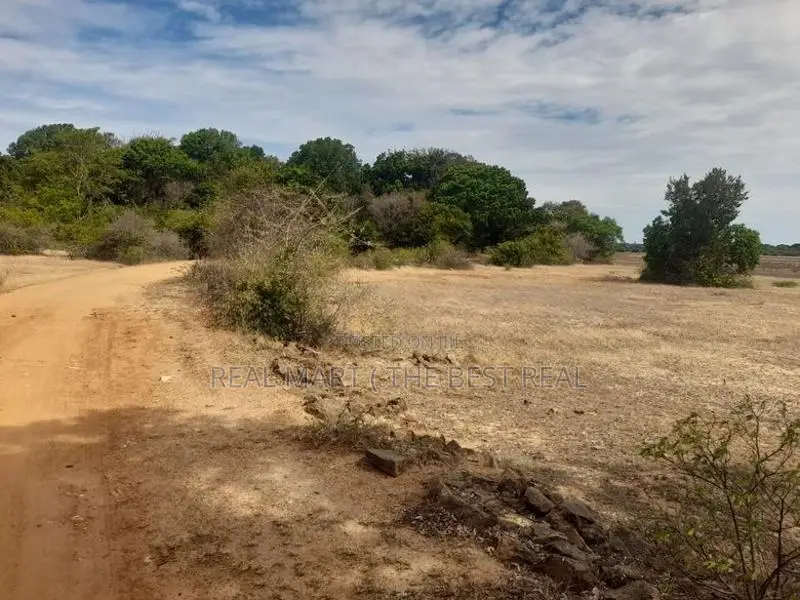 ARUGAM BAY : 46 ACRES BEACH FRONT LAND FOR SALE