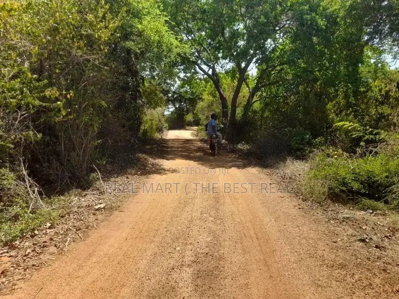 ARUGAM BAY : 46 ACRES BEACH FRONT LAND FOR SALE