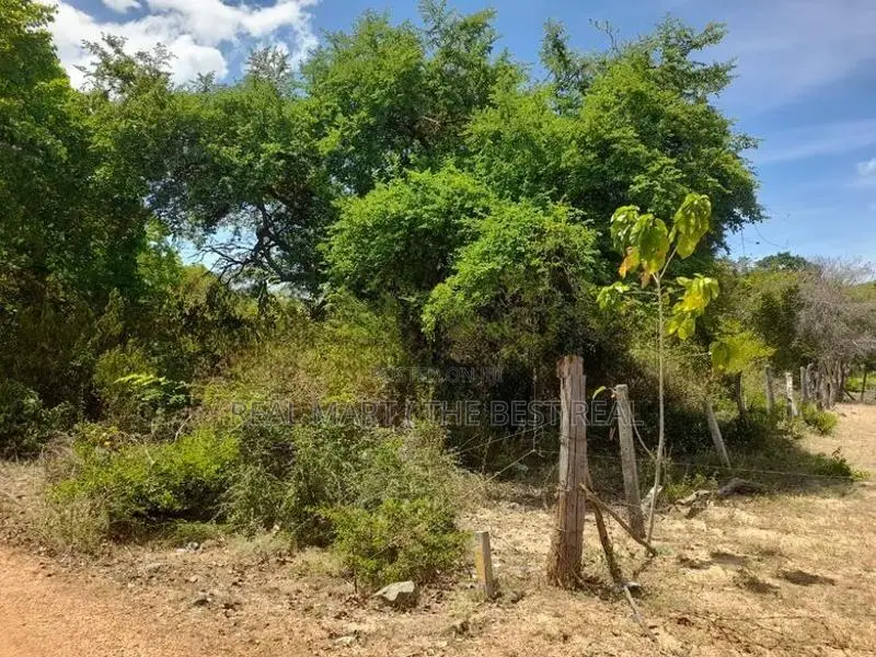 ARUGAM BAY : 46 ACRES BEACH FRONT LAND FOR SALE