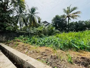 Bare land for sale in Boralesgamuwa