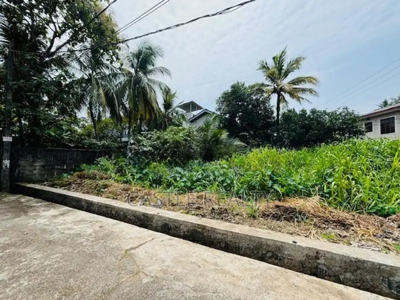 Bare land for sale in Boralesgamuwa