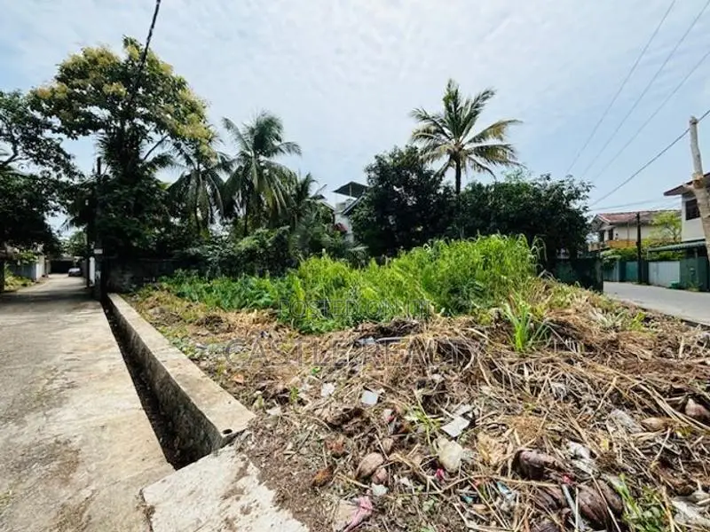 Bare land for sale in Boralesgamuwa