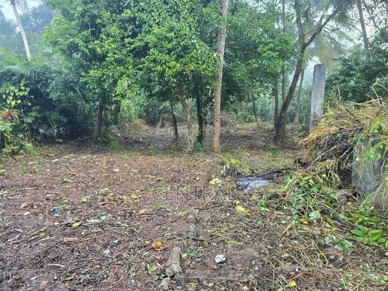 11.5 Perches Land for Sale in Bollatha, Kandana (C7-10306)