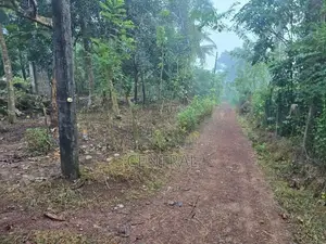 11.5 Perches Land for Sale in Bollatha, Kandana (C7-10306)