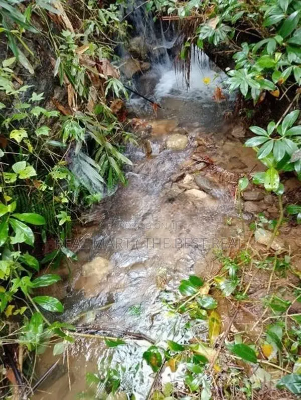 YATIYANTOTA : 12 ACRES PRIME TEA & COCONUT ESTATE FOR SALE
