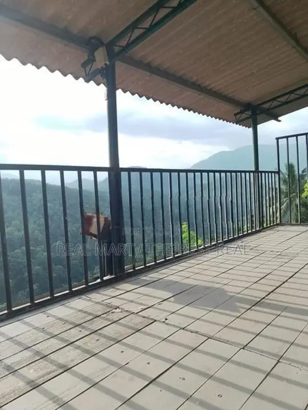 YATIYANTOTA : 12 ACRES PRIME TEA & COCONUT ESTATE FOR SALE