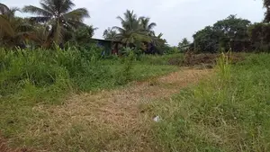 50 Perches land for sale in Ja Ela Town (C7-10313)