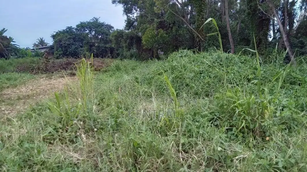 50 Perches land for sale in Ja Ela Town (C7-10313)