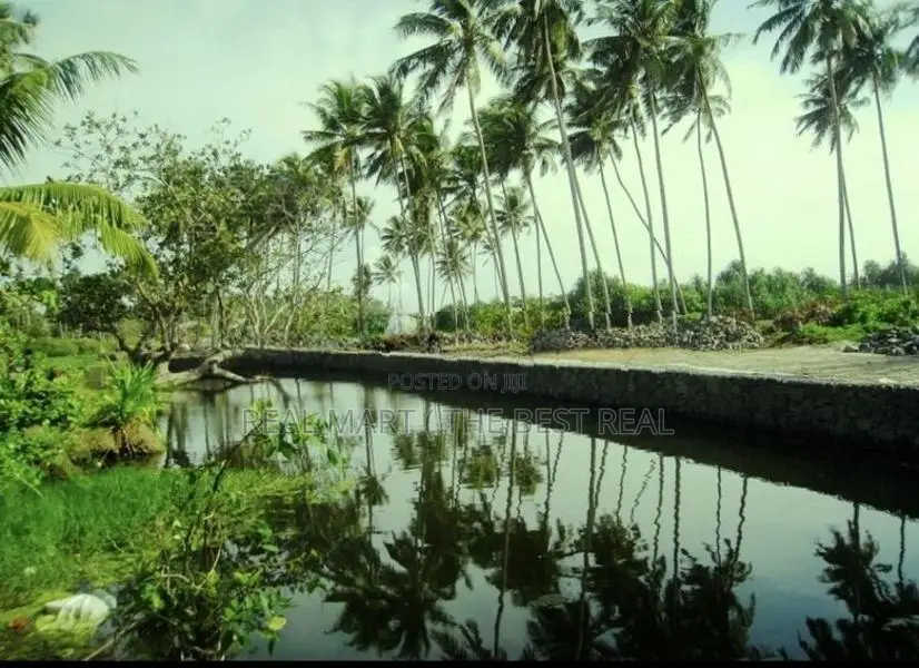 KOSGODA : 202.7 PERCHES PRIME BEACHFRONT LAND FOR SALE