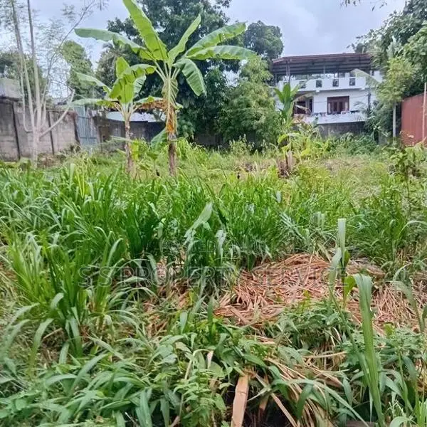 Boralesgamuwa- 28 Perches Land for Sale (SSPL-482)