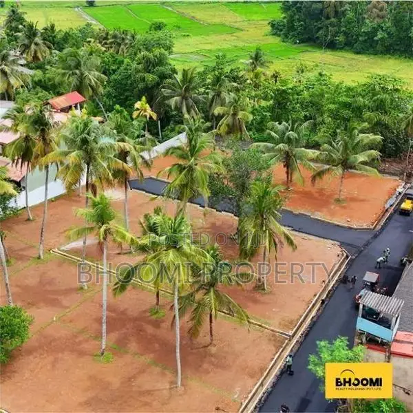 වටිනා බිම් කොටස් කැස්බෑව නගරයෙන්