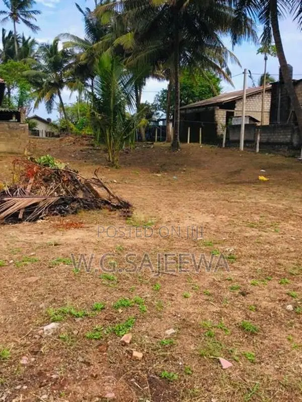 29 Perch Main Road Facing Land for Sale in Saththappaduwa Negombo