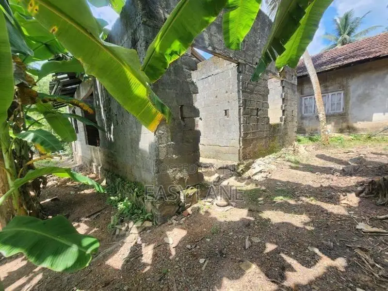 නිට්ටඹුව මල්වත්තෙන් මුළු ඉඩම විකිණීමට / YS 15231